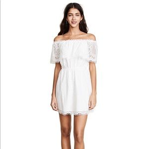 BB Dakota Zinnia Dress